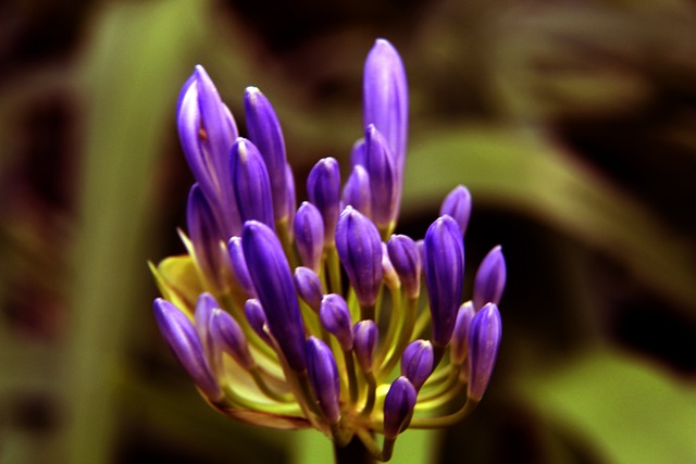 韩鹏：全力以赴完成俱乐部1500分和瓦科夺金靴的目标