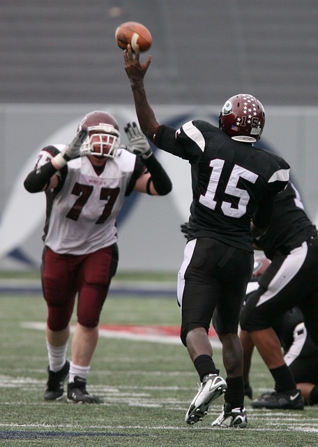 拜仁慕尼黑 拜仁慕尼黑