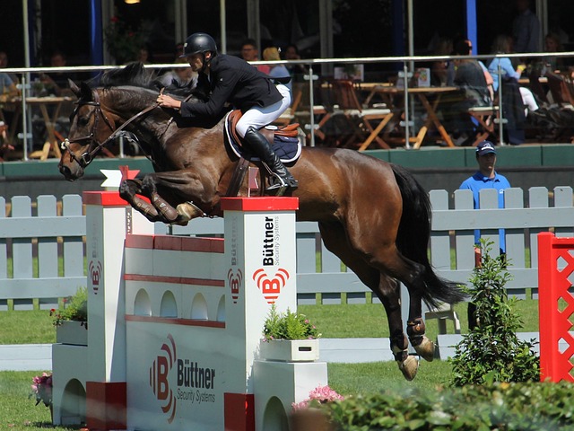 德的白領跑 德的白領跑