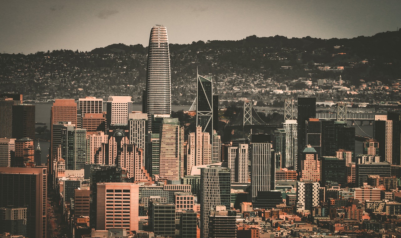 意见表达 意见表达