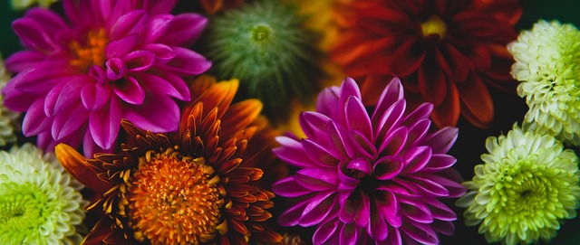 正是他得以 正是他得以