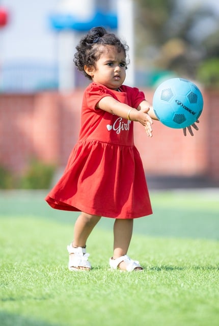 战略家和革 战略家和革