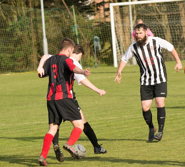 織內部的舒 織內部的舒